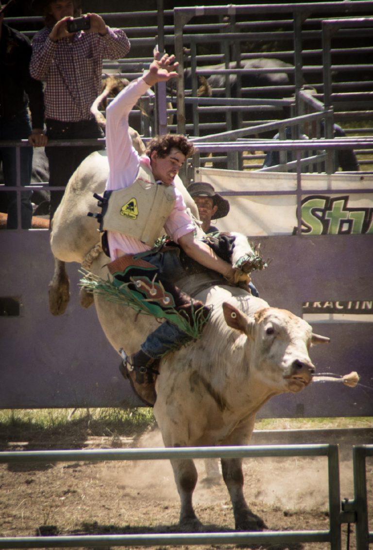 Rodeo Ban On The Ropes?