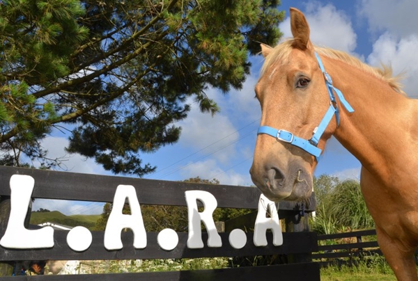 Animal home comforts at Little Acres