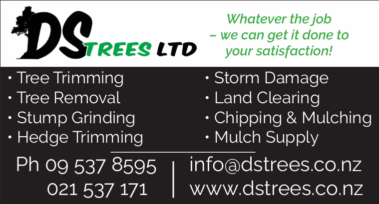 DS Trees