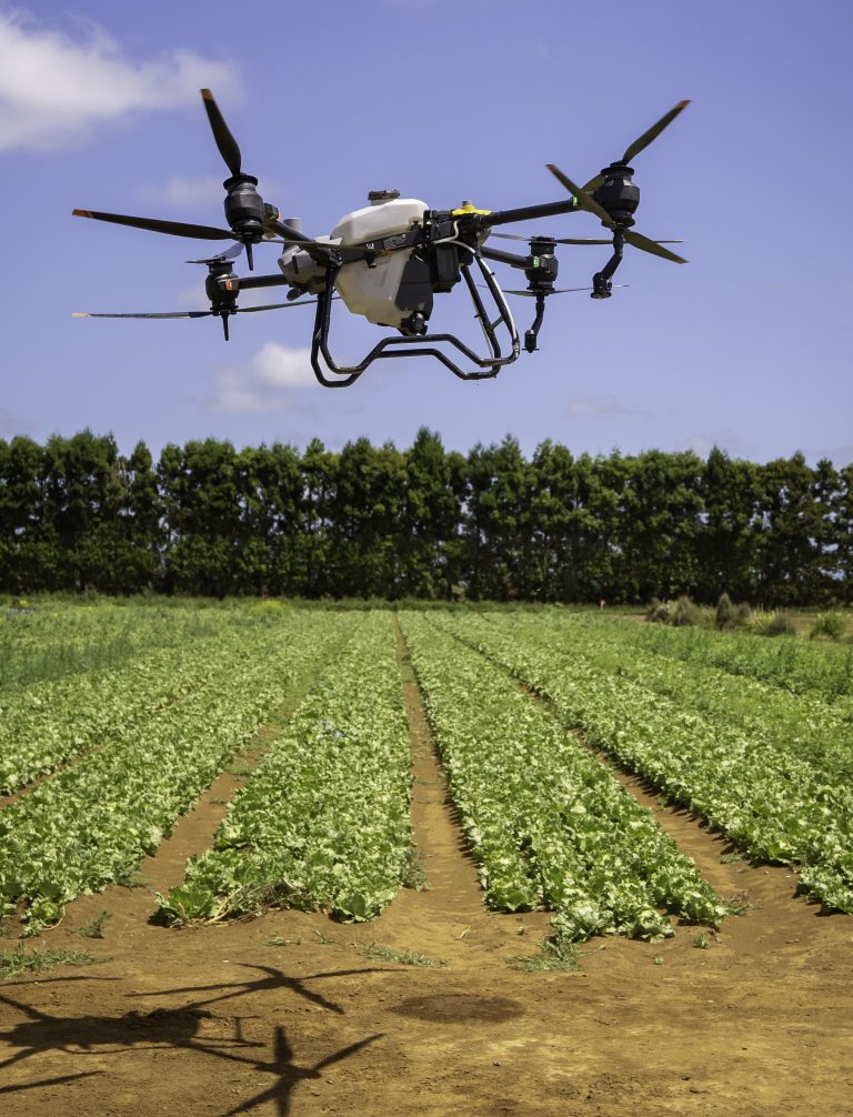 Pukekohe event showcases innovation in vegetable industry