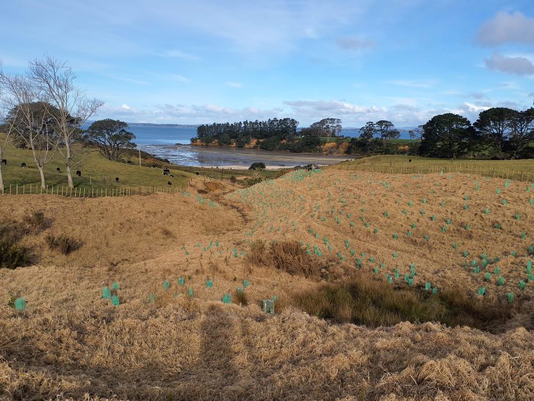 Restoring waterways and protecting biodiversity