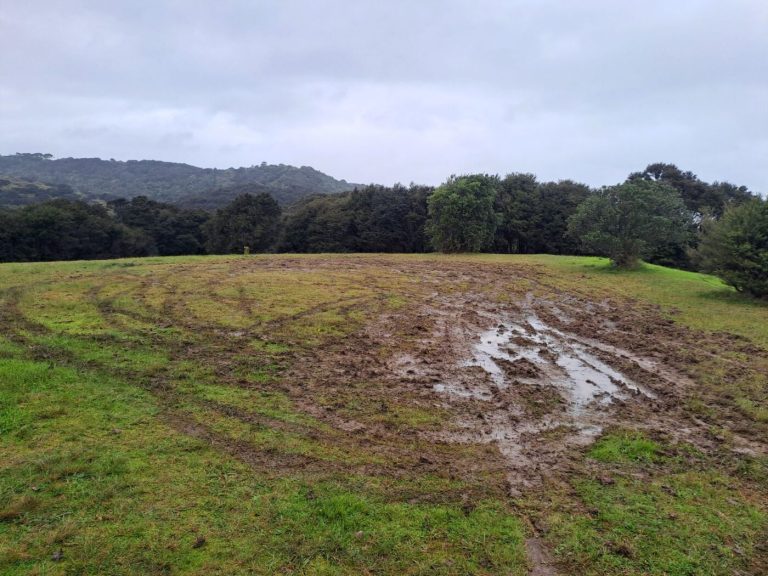 Spike in vehicles used to damage sports fields, parks