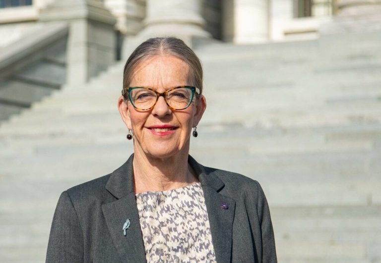 Green Party calls for voting age to be lowered to 16