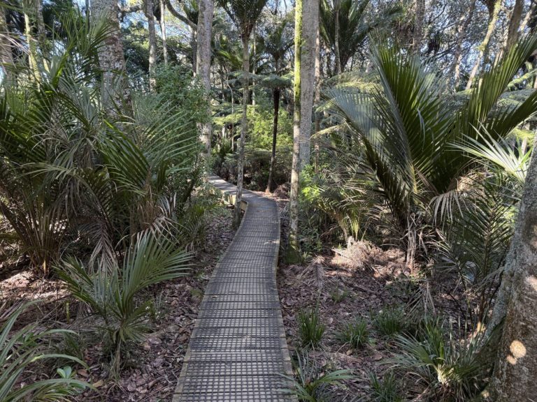 Inviting walks through Clevedon’s scenery