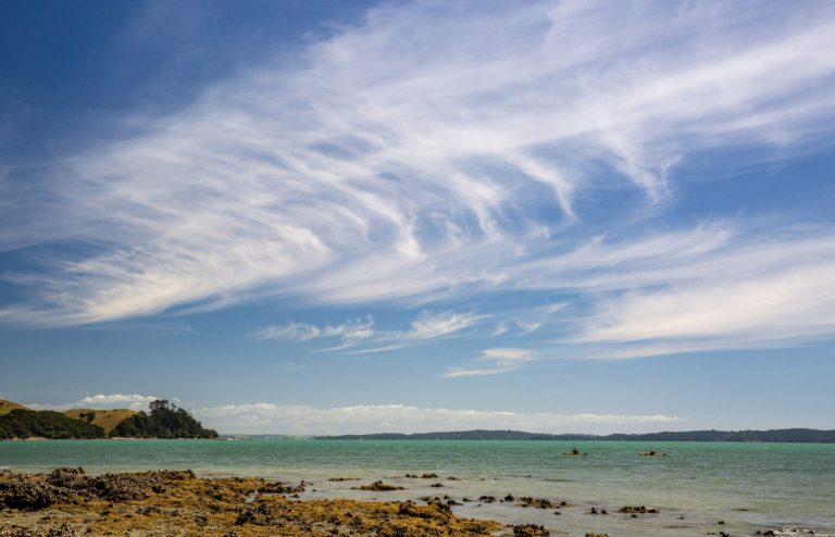 Auckland Council building tsunami resilience