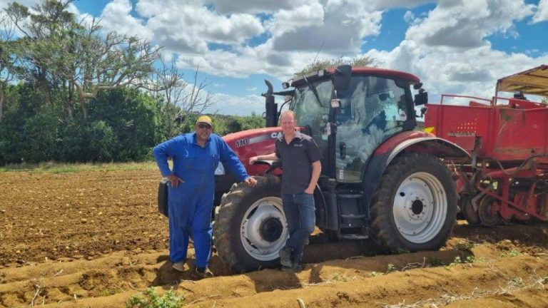 Pukekohe grower recognised