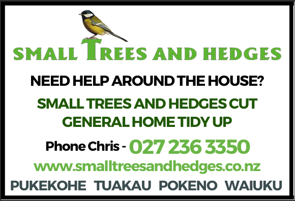Small Trees and Hedges