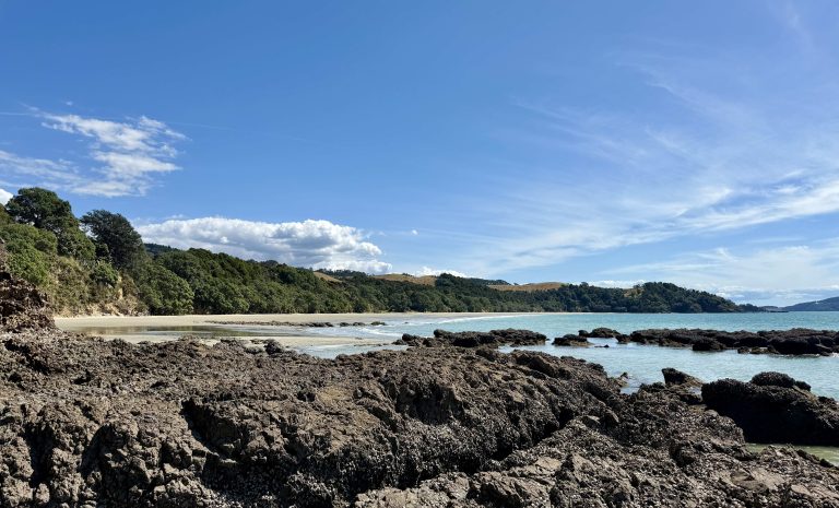 Walks: Tawhitokino Beach – the hidden gem