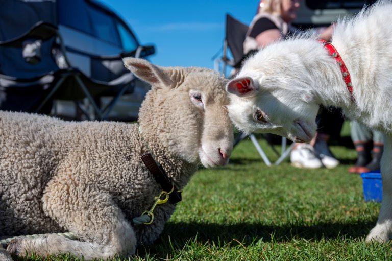PHOTOS: Country fun all round
