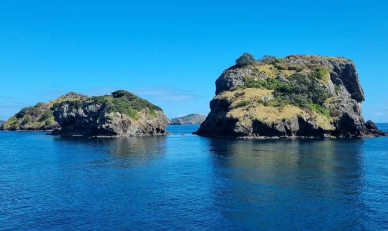 Great Barrier Island provides birdlife, beaches, and more