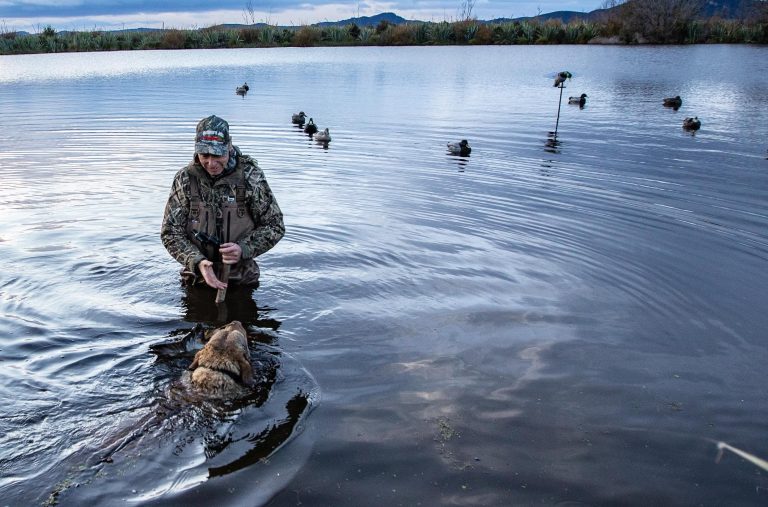 Game bird season draws to a close