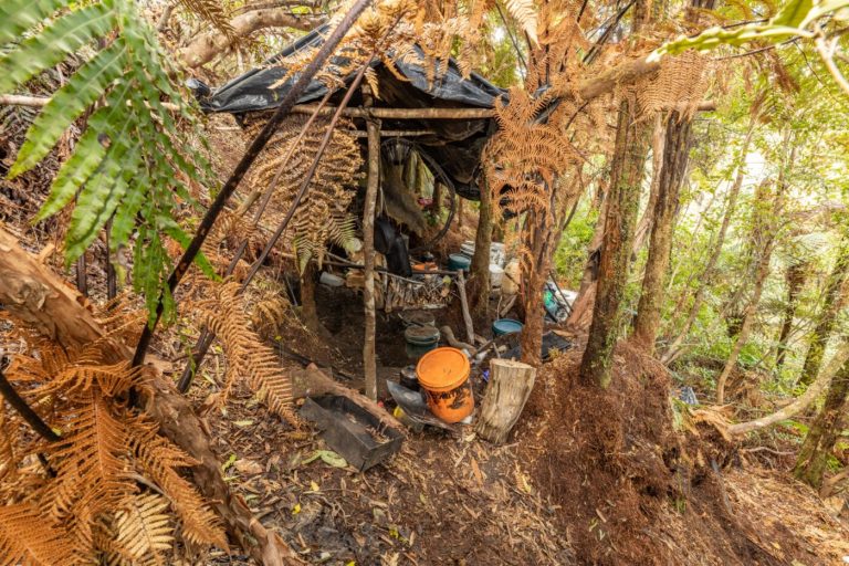 Police release new photos of Tom Phillips’ campsite