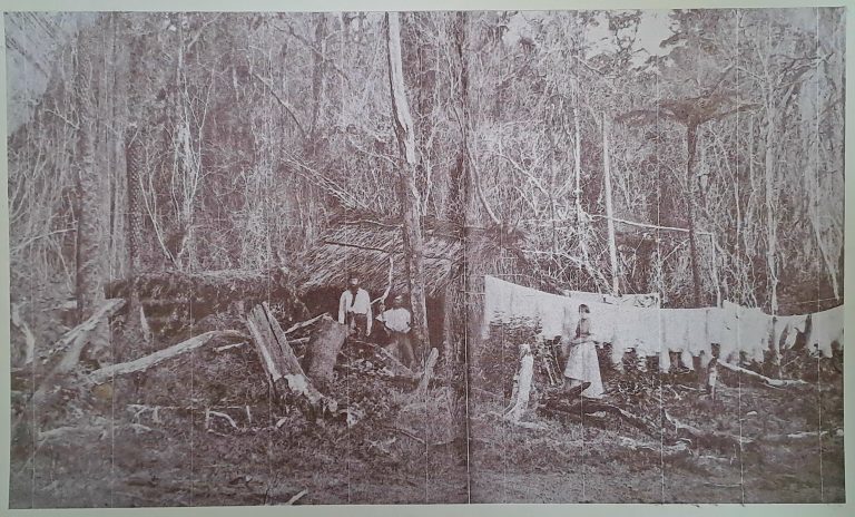 Pokeno: Then and now