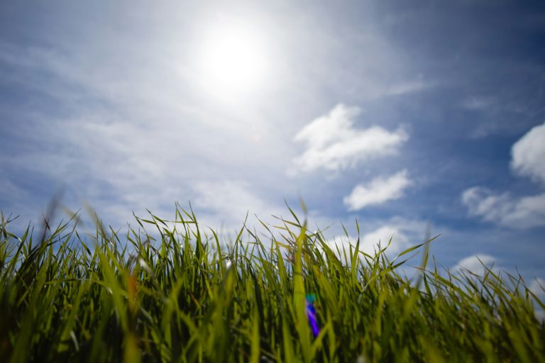 Warmer weather with windy conditions forecast for spring