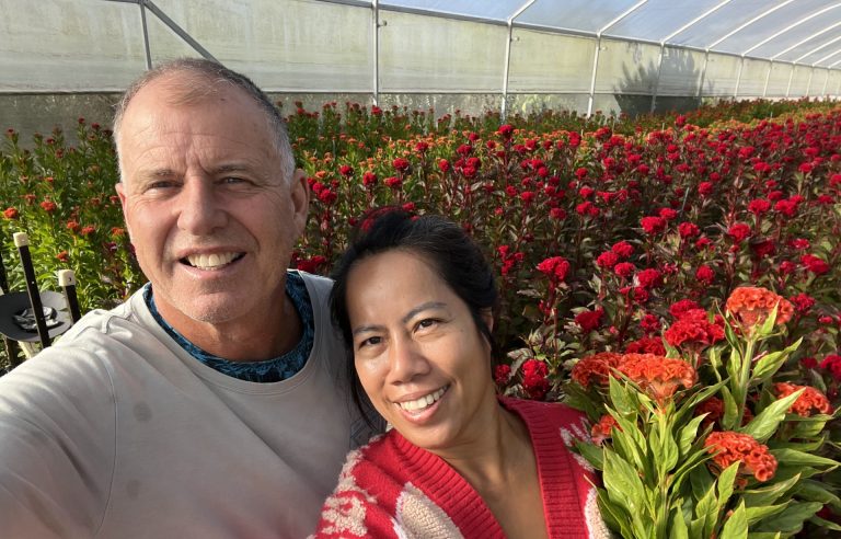 Flower growers blown away by support after wind damage