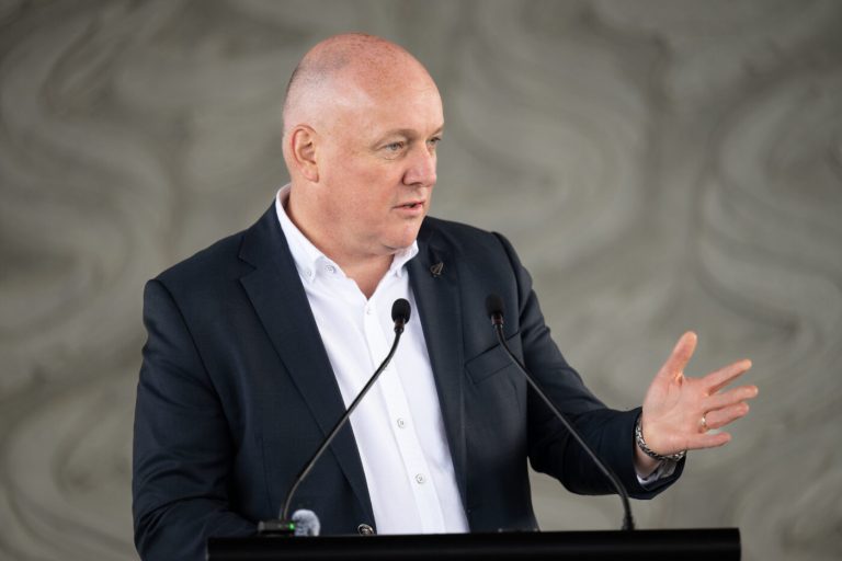 National, Labour both fall in new political poll