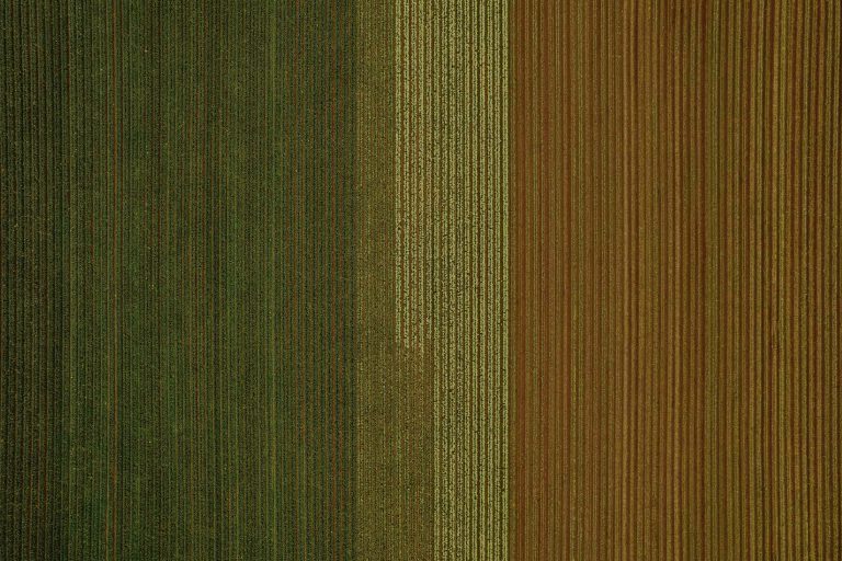 Franklin farming on show