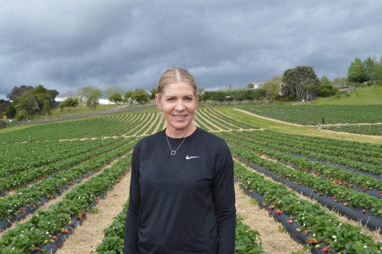 Q&A with Diana Gallagher of Clevedon Strawberries