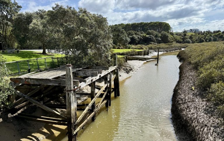 Walks: Discover Whitford’s quiet corners