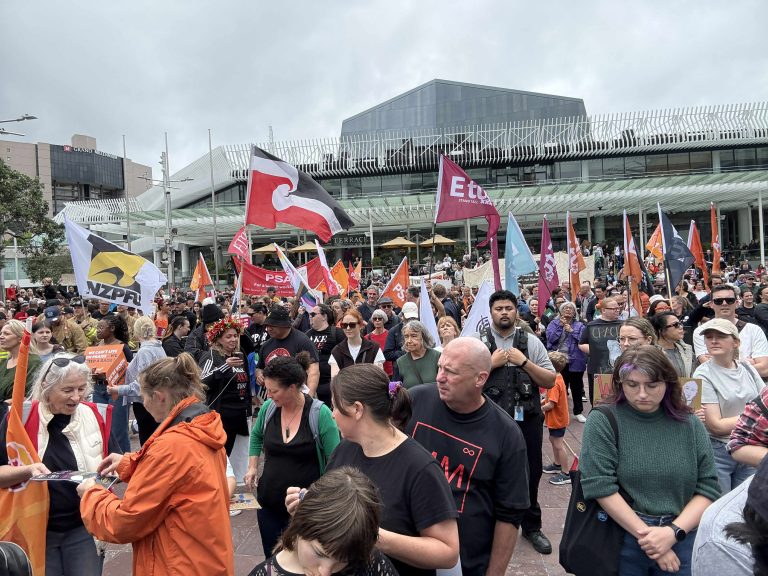 Teachers from Franklin attend rally at Aotea Square