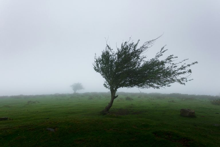 Stormy end to the week for Auckland as spring weather ramps up