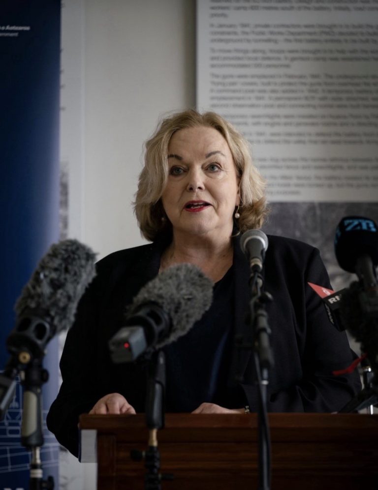 Papakura MP Judith Collins to leave politics to head Law Commission