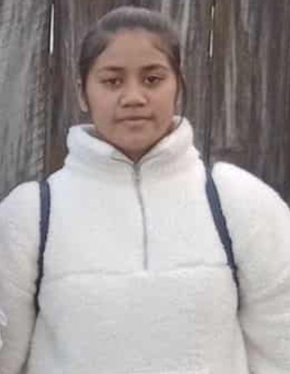 Police seek help from public to find teen missing from south Auckland