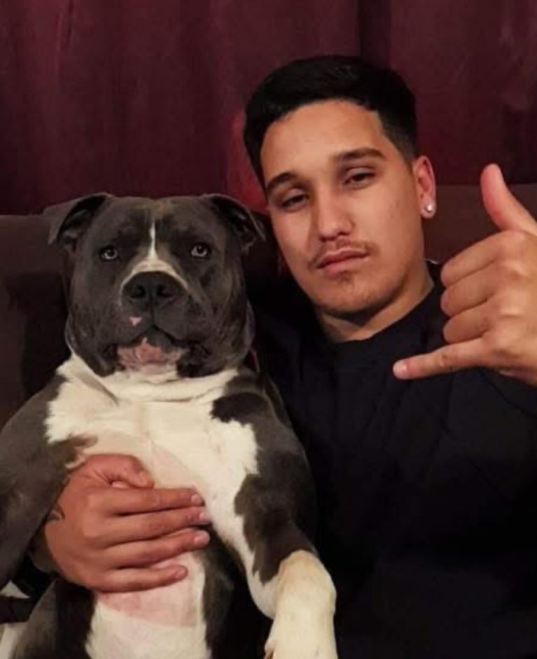 Six men appear in court as police lay third murder charge over Te Puke shooting