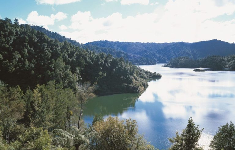 Auckland regional parks reopen following pest-control action