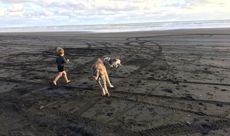 Have your say on Waikato’s beaches and reserves