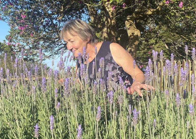 Q&A with Pauline Livesey