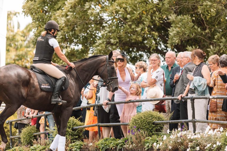 Thoroughbred industry opens the gates