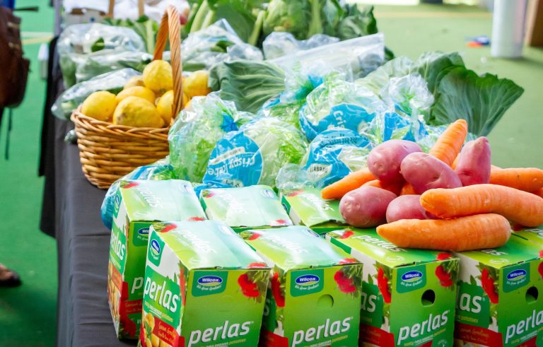 Pokeno School Gala returns today