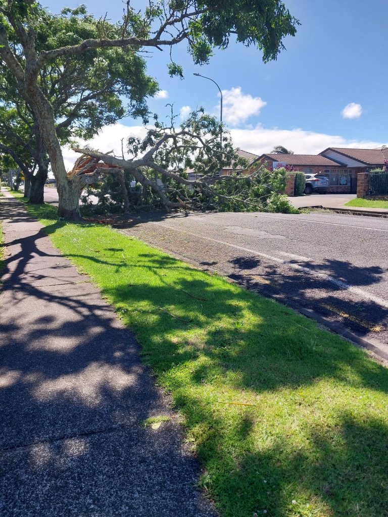 Hundreds without power as strong winds batter Franklin