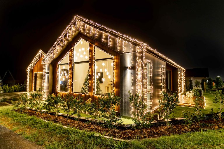 Franklin gets festive