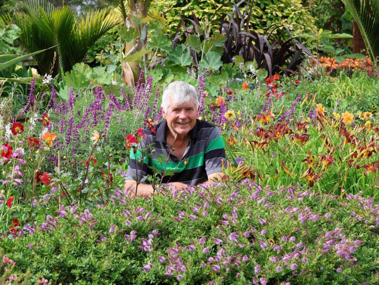 New Year Honours for six Franklin residents