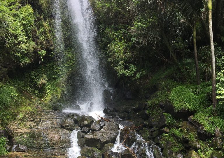 Franklin Walks: Harker’s Reserve and Vivian Falls