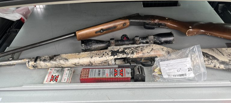 Man found asleep in car near Sylvia Park faces firearms charges