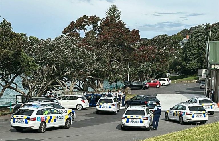 Toy gun incident at Howick Beach cost significant police resources