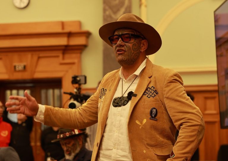 Te Pāti Māori calls for prisons to be abolished