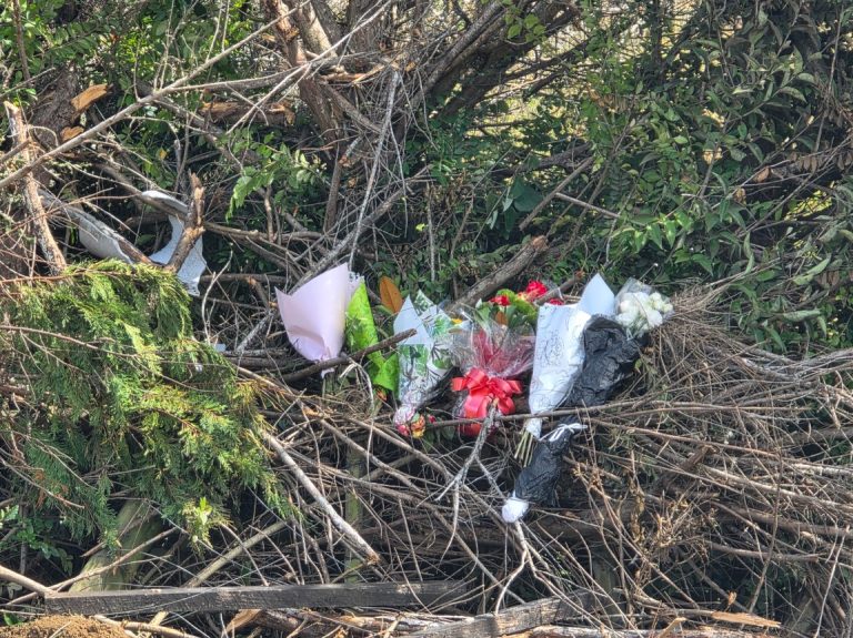 Man who died in Buckland crash named