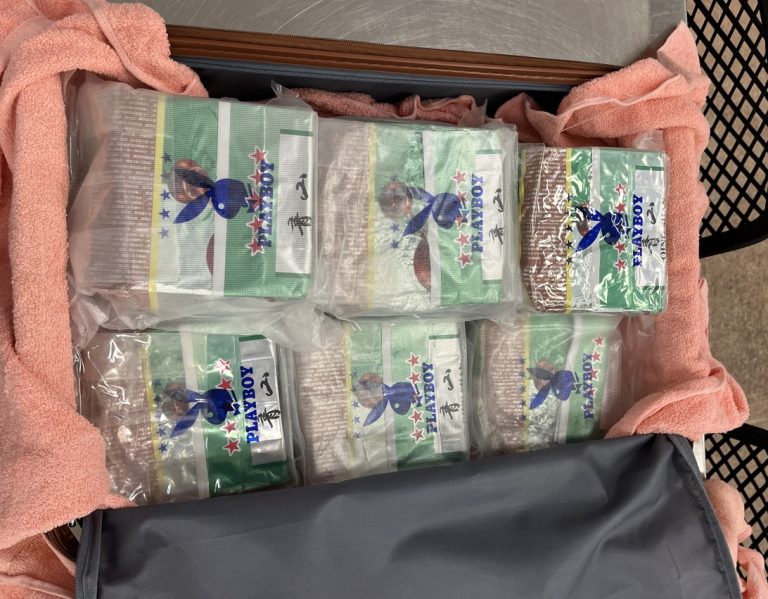 Customs intercepts $10.8m meth haul at Auckland Airport