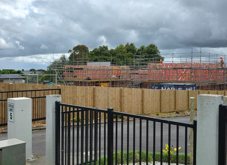 MP calls Kāinga Ora development a ‘missed opportunity’