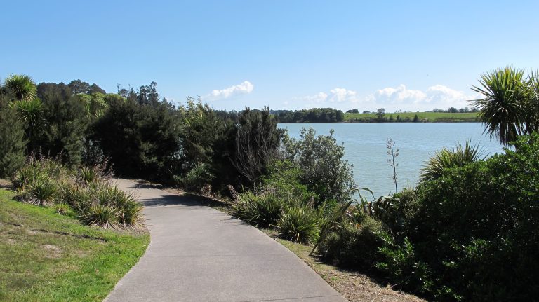 Franklin Walks: Karaka Path