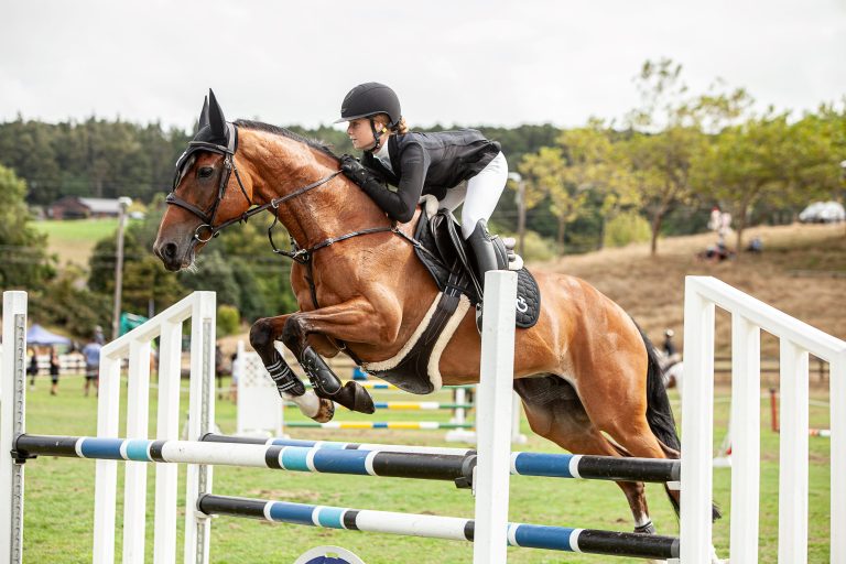 My Local: Pukekohe Show