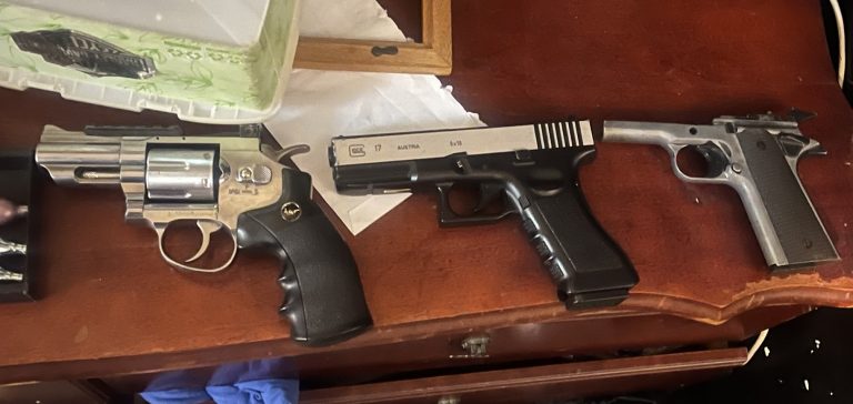 Firearms seized after family harm incident in Māngere