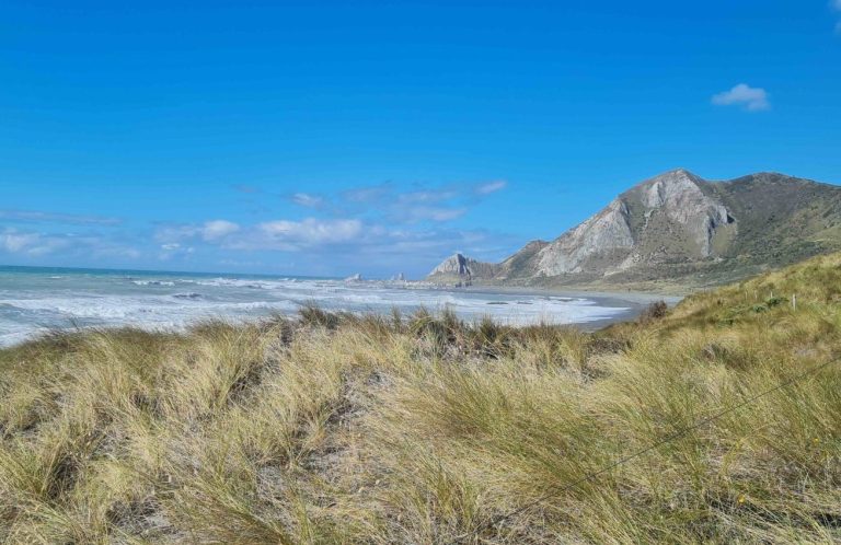 Urgent call to protect coastlines