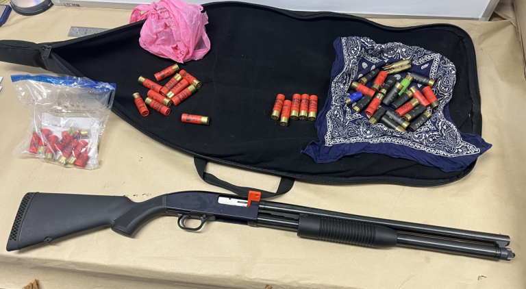 Auckland shooting update: Police seize firearm, ammunition