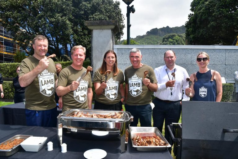 BBQ at the Beehive: Farmers celebrated at Parliament ahead of National Lamb Day