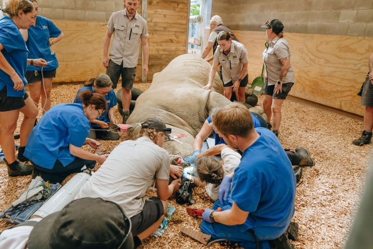 Zoos farewell animals